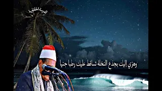 وهزي إليك بجذع النخلة تساقط عليك رطبا جنيا    تلاوة لفضيلة  الشيخ محمود الحلفاوي دندنها