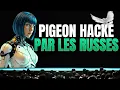 Lagu La Russie transforme les pigeons en drones: où s'arrête la technologie?