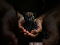 Download Lagu Up Close with a Baby Jaguar: Nature's Cutest Predator!