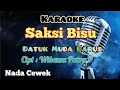 Download Lagu SAKSI BISU | DATUK MUDA BARUS | KARAOKE LAGU KARO | NADA CEWEK