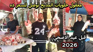 مش هتصدق   اسعار الممبار والكوارع ولحمة الراس في مدبح السيدة زينب قبل عيد الاضحى       دندنها