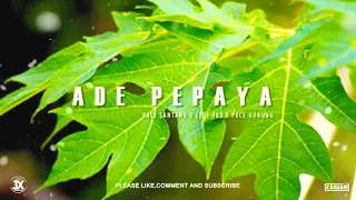 pace santana legi 483 ade pepaya