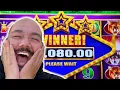 BUFFALO WENT CRAZY WITH A HUGE JACKPOT