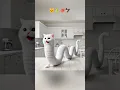 Download Lagu Kucing berubah jadi ular gurita elang #cat #funny #cutecat