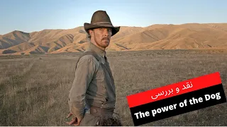 Power Of The Dog Movie Review نقد فیلم قدرت سگ 