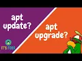 Explained Difference between apt update and apt upgrade in Ubuntu