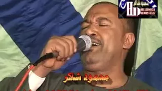 ياسر رشاد نميم و توبة توبة 