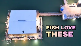 crappie fishing on a floating fish house