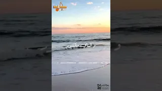 بيني و بينك سور ورا سور 