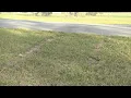 I was shocked Levy county residents react to deadly hit-and-run in their neighborhood