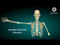 shoulder horizontal flexion and extension in 3d