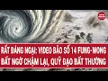 Lagu 🔴[Trực tiếp] Rất đáng ngại: Video Bão số 14 Fung-wong bất ngờ chậm lại, quỹ đạo bất thường