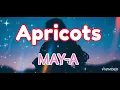 Apricots (Lyrics) || MAY-A