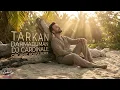 Tarkan - Darmaduman (Dj CardinaLe Organic House Remix)