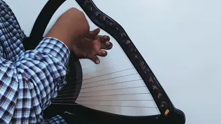 عزف اغنية سنة الحياة لحسين الجسمي علي السمسمية 