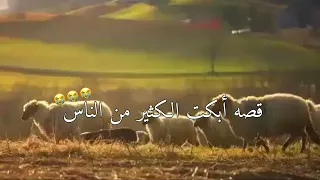 خالد الراشد مبكي رويعي غنم حالات واتساب دينيه مبكيه مؤثرة 