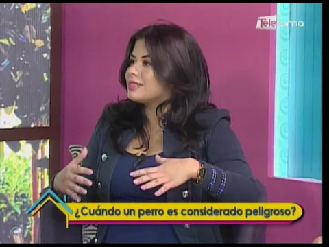 ¿Cuándo un perro es considerado peligroso?