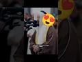 Download Lagu 😍❤️Alafasy, العفاسي : Beautiful Quran Recitation - Amazing quran recitation - Raad Al Kurdi- kurdi