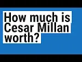 How much is Cesar Millan worth