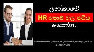 Average Salaries for HR Trainees to Senior Managers 2024