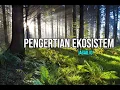 Download Lagu Pengertian Ekosistem dan Contohnya