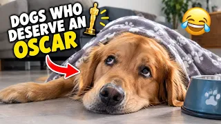 Dogs Are WAY Smarter Than You Think! 🐶