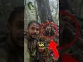 Download Lagu Top 4 Largest Insects 😱🤯