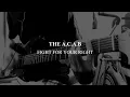 The A.C.A.B - Fight for Your Right (Guitar Cover)