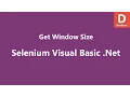 Selenium Visual Basic Net Get Window Size