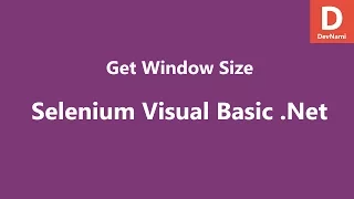 Selenium Visual Basic Net Get Window Size