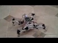 e5 - Quadruped robot trot gait