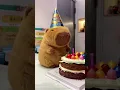 Download Lagu Happy Birthday~🍰 Part2 #cute #capybara #funnyanimals #healing #happybirthday