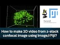 Part-3 How to make 3D from z-stack confocal image using