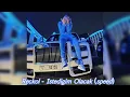 Reckol - İstediğim Olucak (speed up)
