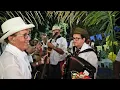 Download Lagu Xodozinho Sanfonando - Entrega da Folia de Reis