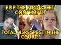CONTEMPTUOUS Karen Flips The Bird At Judge Washington The Court Gets 10 DAYS IN JAIL