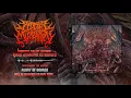 Download Lagu Sederai Mutilation - Emas Hitam Pulau Borneo [Pathologically Explicit Recordings] MP3