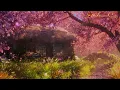 Download Lagu 🌸✨SPRING AMBIENCE WITH CHERRY BLOSSOMS: Stream Sounds, Spring Day Sounds, Splashing