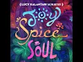 Joy Spice Soul (feat. Falu & Fyütch) - Lucy Kalantari & the Jazz Cats