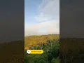 Download Lagu LARI PAGI SEWU SAMBANG