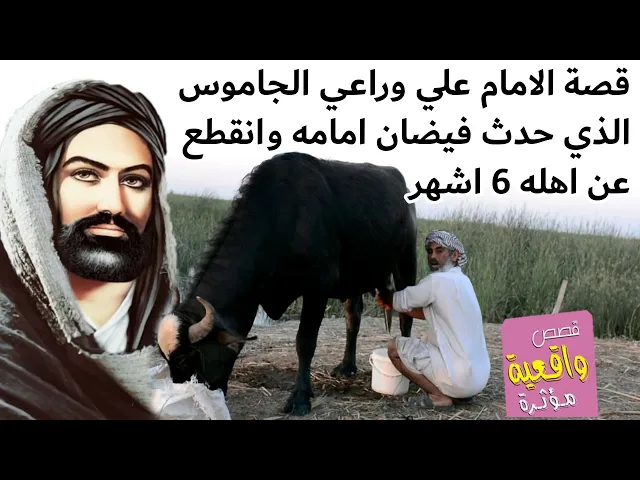 ⁣قصة الامام علي عليه السلام وراعي الجاموس الذي حدث فيضان امام وانقطع به الطريق لمدة 6 اشهر