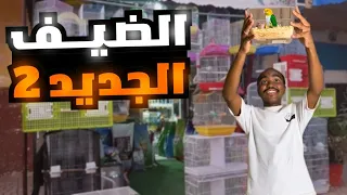 بحجم الكنيور وبسعر الكاسكو ايش هذا الببغاء 
