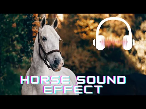 Download MP3 Horse sound effect | Horse neighing sounds| Horse sounds | What sounds does a horse make?