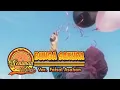 Download Lagu Faisal Asahan - Bunga Sakura with lirik