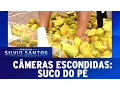 Download Lagu Suco do Pé | Câmeras Escondidas (07/05/17)