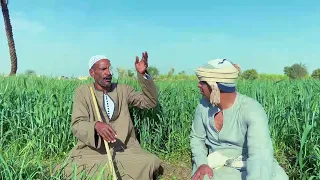 الحاج الضوى شمتان فى عبدالناصر علشان العيال ضربوه 