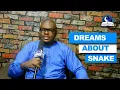 Lagu DREAMS ABOUT SNAKE - Find Out The Biblical Dream Meanings