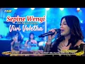 SEPINE WENGI - VIVI VOLETHA - ARSEKA MUSIC - DEWA SOUND ( VERSI TERBARU )