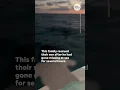 Heartwarming moment family finds young diver lost at sea in Florida USA TODAY
