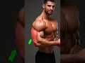 Download Lagu The Best Triceps Workout with Dumbbells: 4 Effective Exercises! #triceps